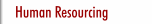 Human Resourcing